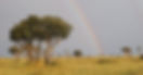 E75A4429 2_edited.jpg