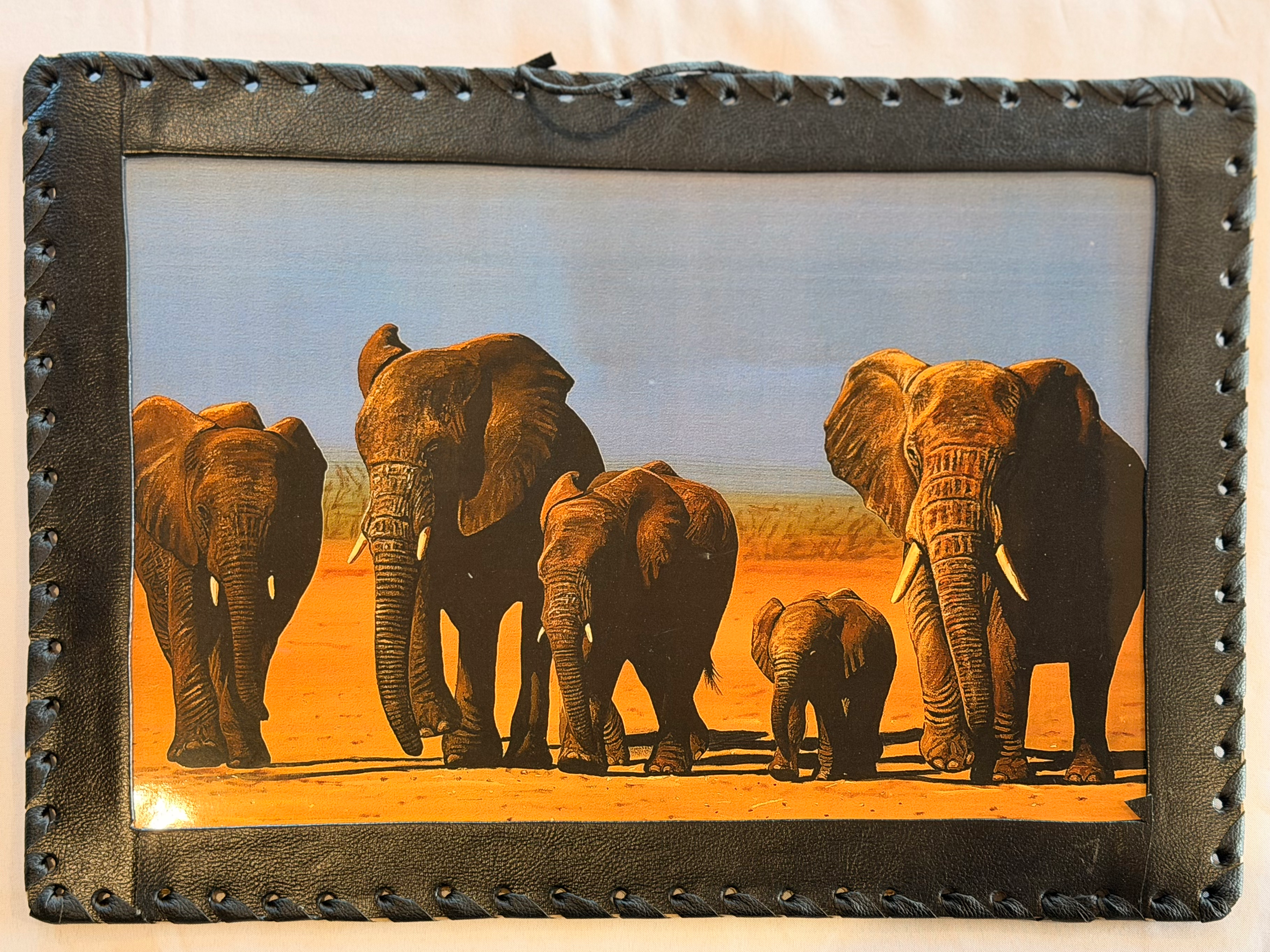 Leather Bound Framed Photo