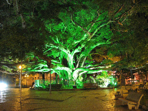 pontos-turísticos-Florianópolis