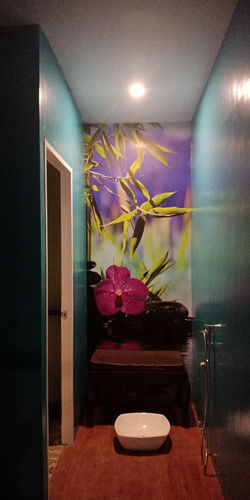 49661474_10216826551283753_9091747721777