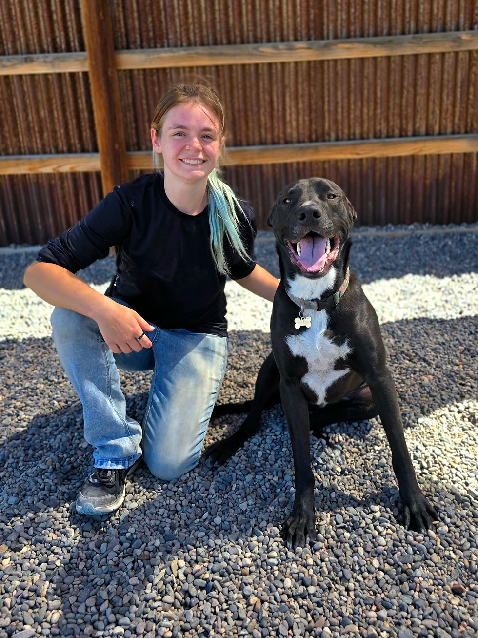 Crystal, Kennel Technician at Iron Will Dog Lodge