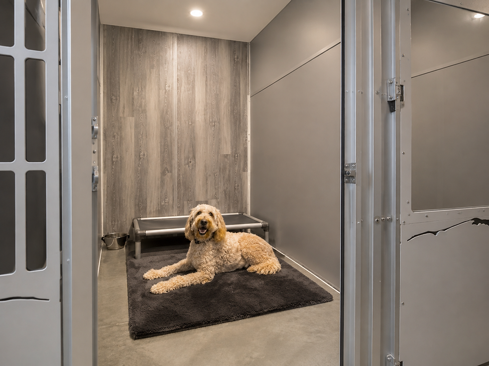 Dog relaxing inside a private indoor lodging suite with an elevated cot and bedding at Iron Will Dog Lodge.