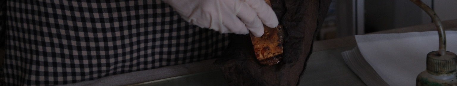 DSCF5831.jpg