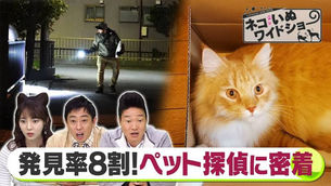 BS朝日「ネコいぬワイドショー」に出演しました①