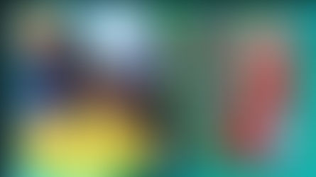 日本テレビ「天才!志村どうぶつ園」に出演しました④