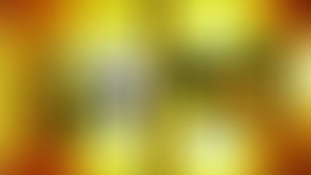 毎日放送「〇〇は大丈夫なのか?」に出演しました