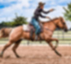 166884474_252657053271968_91243613219042