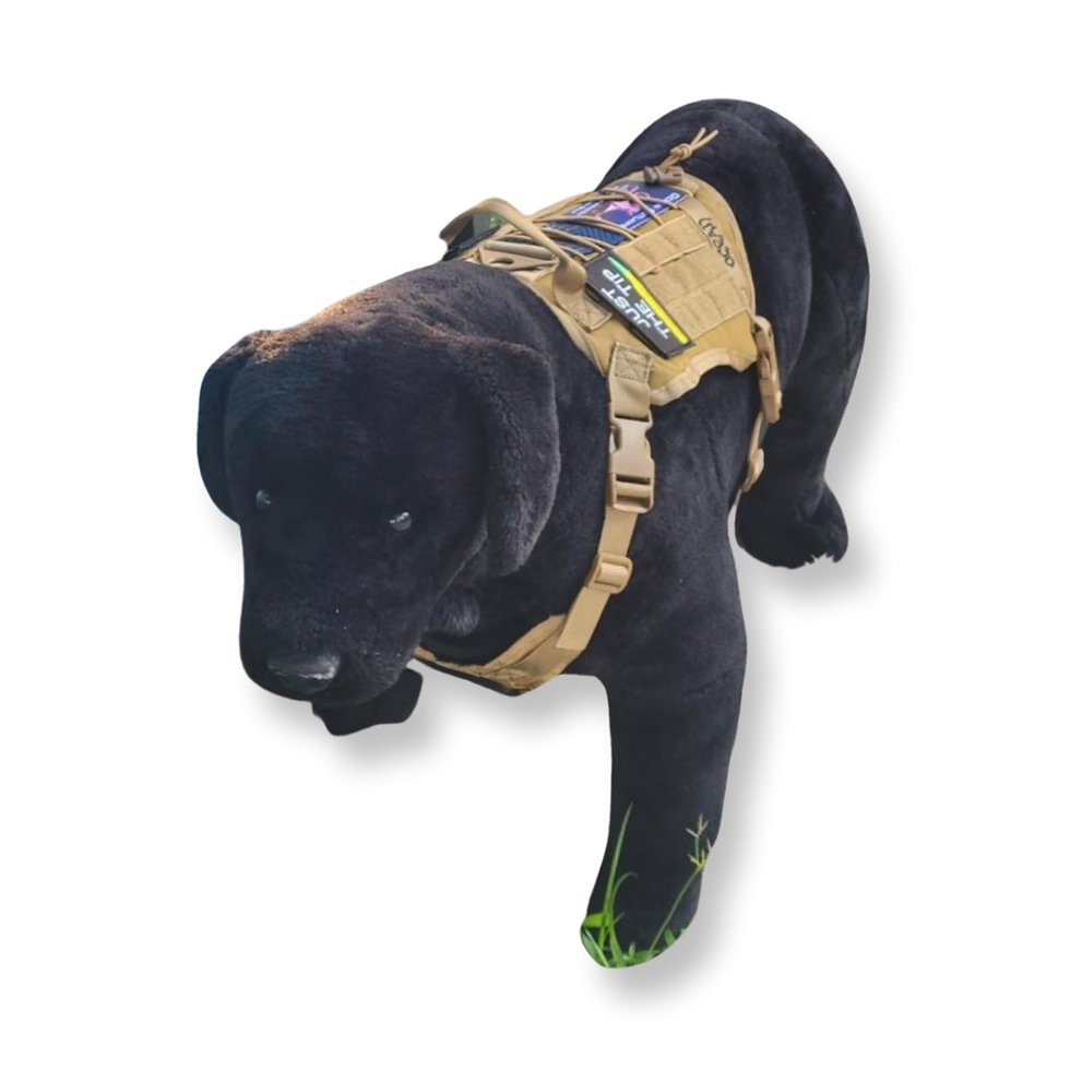 Thumbnail: Tactical Dog Harness