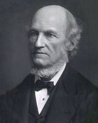 William_Carpenter_cr annotated levels.jpg