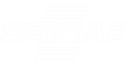 sebrae site.png