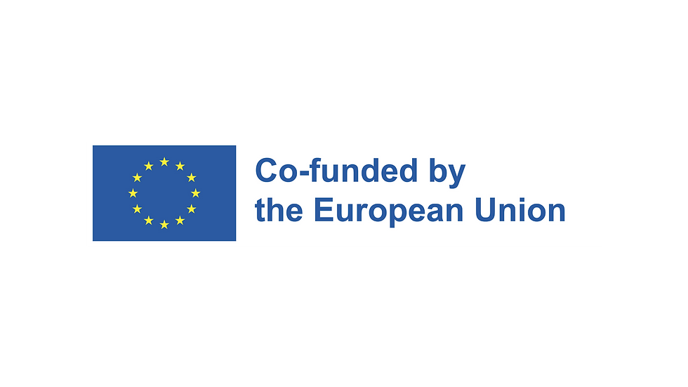 Logo Eramsus + co financé