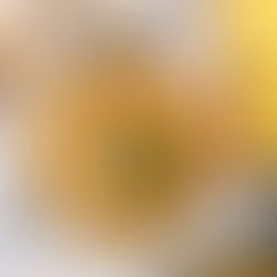 Creamy Mushroom and Butternut Squash Risotto Recipe