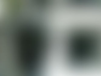 7/29 ネット予約受付一時停止