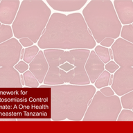 Dr Grite Nelson Mwaijengo