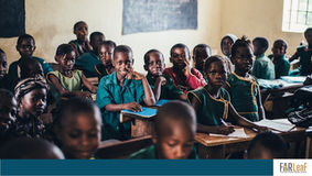 Co-creators of interactive resources for climate change literacy