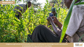 Indigenous agricultural communication systems as pathways for knowledge transfer and adoption of sustainable farming practices in rural Ghana