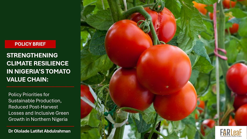 Policy | Strengthening Climate Resilience in Nigeria’s Tomato Value Chain