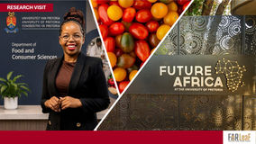 A research stay to advance sustainable solutions for tomato waste