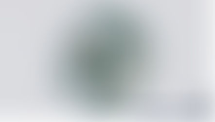 Research | Society 5.0-Inspired Digitalization Framework for Resilient and Sustainable Agriculture