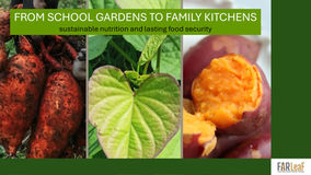 From school gardens to family kitchens: Sustainable nutrition and lasting food security