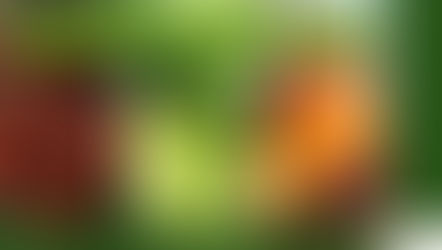 From school gardens to family kitchens: Sustainable nutrition and lasting food security