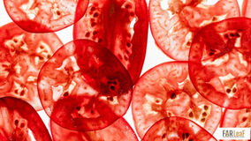 The Tomato Paradox