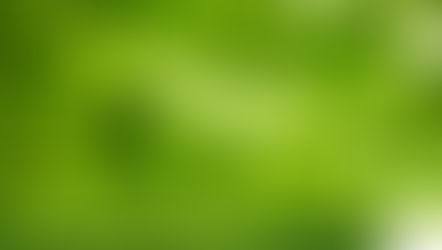 Stakeholder engagement: Visualisation for the FAR-LeaF II research projects