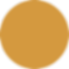 Elipse 1.png