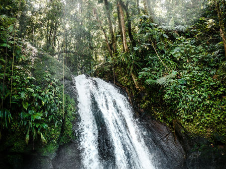 Harmonizing Minds: Crafting Ambient Soundscapes for Meditation and Well-Being
