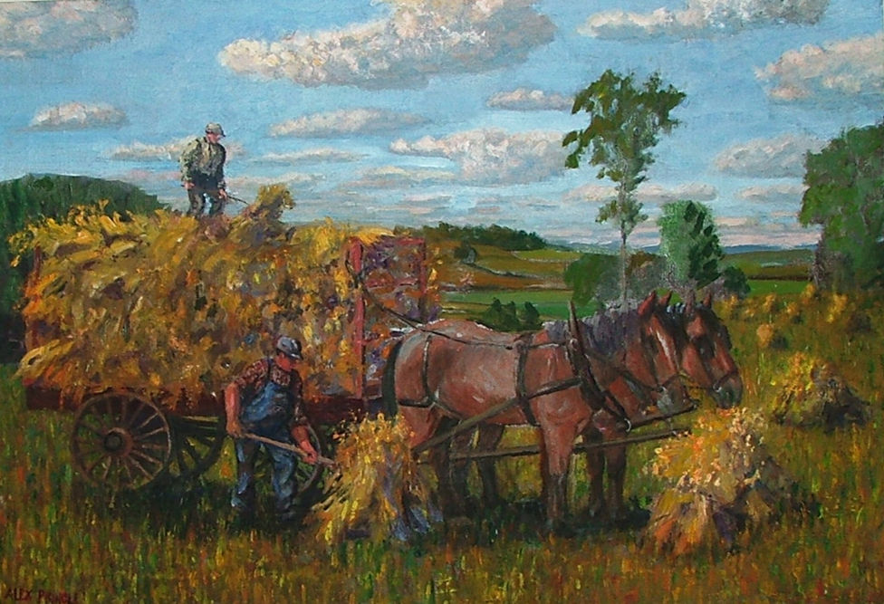 farm, hay wagon, harvest, horses