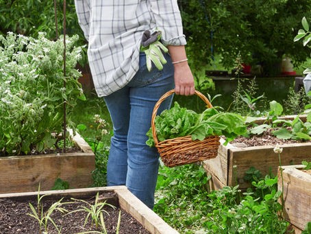 A Gardening Journey