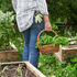 Person in jeans and plaid shirt carries a basket of leafy greens through a lush garden bed, with gloves tucked at the waist.