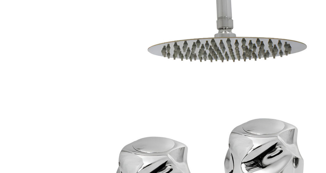 Regadera Acero Inox Cromada Redonda De 20cm Con Manerales