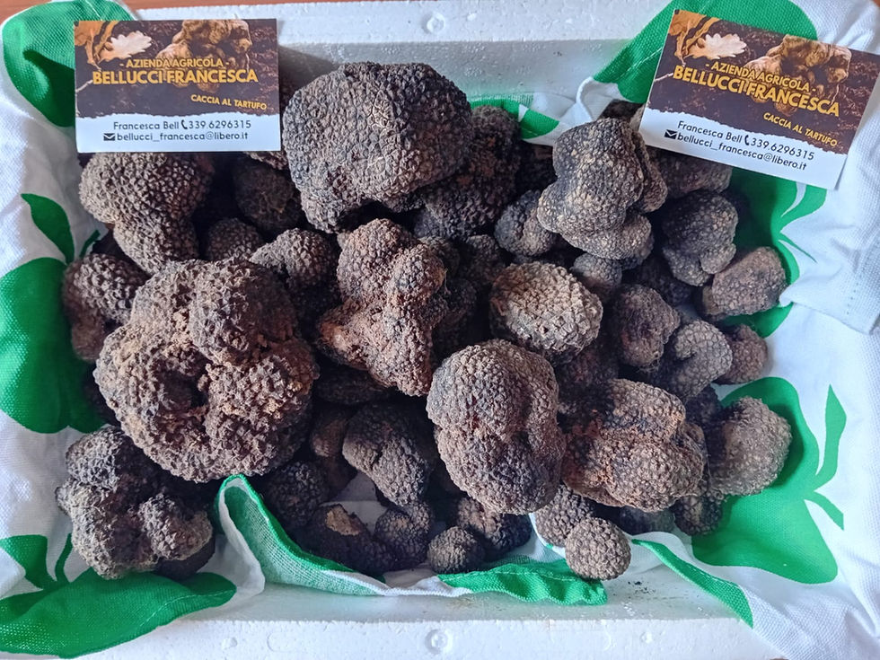 WhatsApp Image 2026-02-16 at 10.25.21 (1).jpeg