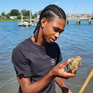 young adult checking out a sea creature with the Alliance for the Mystic River Watershed