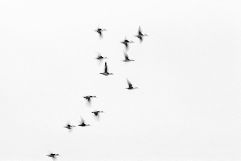 Im Flug_05_ks_153_01_v_p_w.jpg