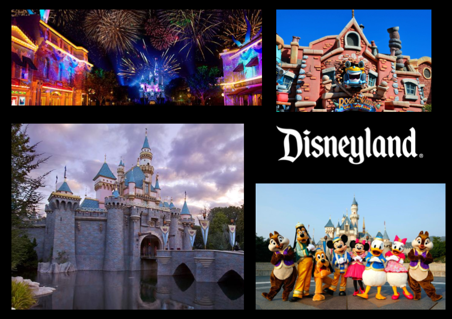 THE HAPPIEST PLACE ON EARTH!
