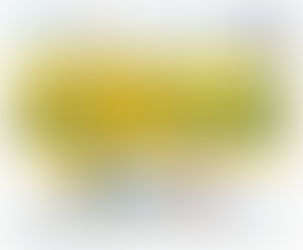 NPE 2024 The Plastics Show. Esperamos você lá! STAND S14026