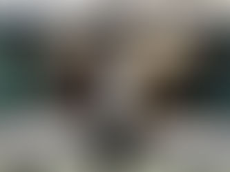 Sistema Magnético de Troca Rápida de Matrizes, Facilita Mesmo!