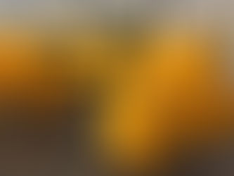 Quais princípios devem ser respeitados na escolha de um Levantador Magnético Eletro Permanente?