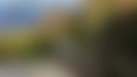 A worn wooden Adirondack chair sitting on the shore of a lake in autumn - blue sky, red leaves, and fluffy white clouds