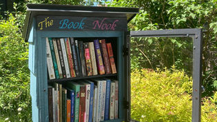 A free little library filled with books is pictured here. It is blue and is called The Book Nook. The day is sunny and there is a backdrop of green bushes and trees at the height of summer.