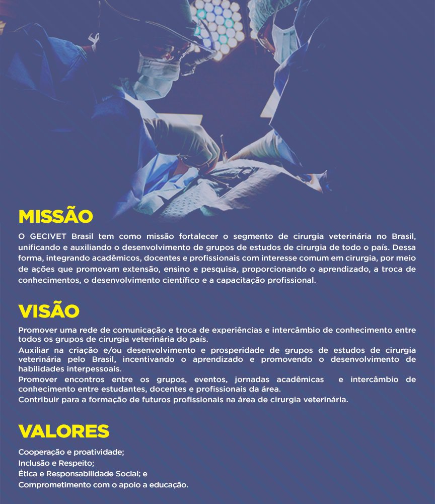 003 - MISSÃO VISÃO E VALORES.png