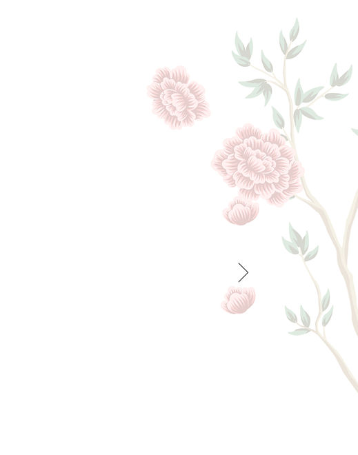 White Panel.jpg