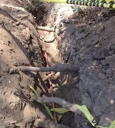 Wanna come over and see my new sewer pipe?