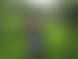 Trekking, PE and Art