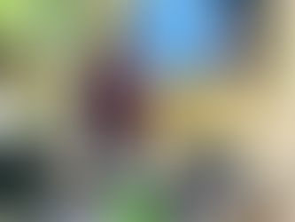 The Sociology Power and Authority Project: A personal journey