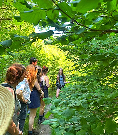 Hazel tree talk_edited.jpg