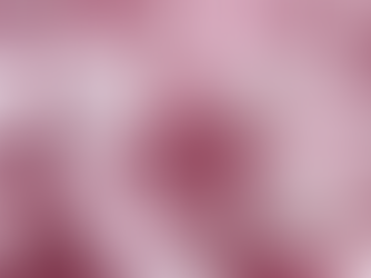 Sucre, blanc d’œuf et savoir-faire : tout ce que vous devez savoir sur la meringue (et pourquoi chez NOMAD Gourmand, on préfère la version suisse)