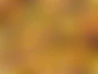 La crise mondiale du cacao : qu’en est-il en 2026 ?